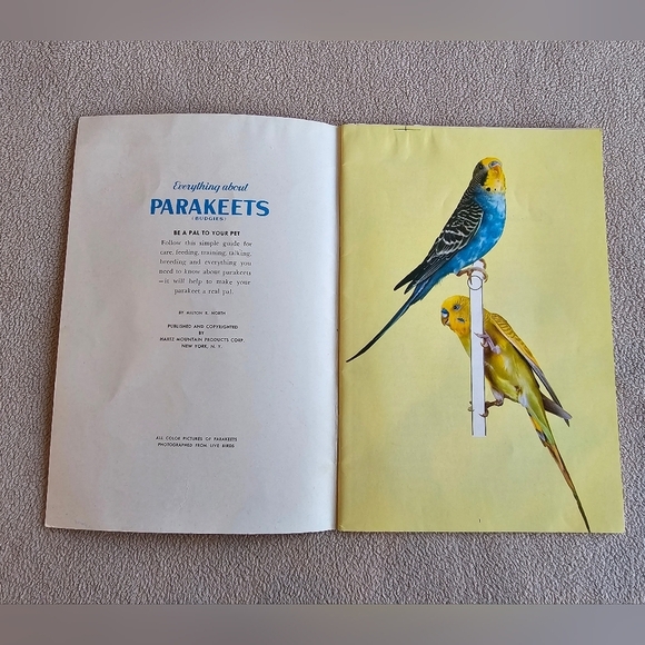 Everything To Know About Parakeets Budgies Book Complete Manual Vintage 1953 - Picture 3 of 6